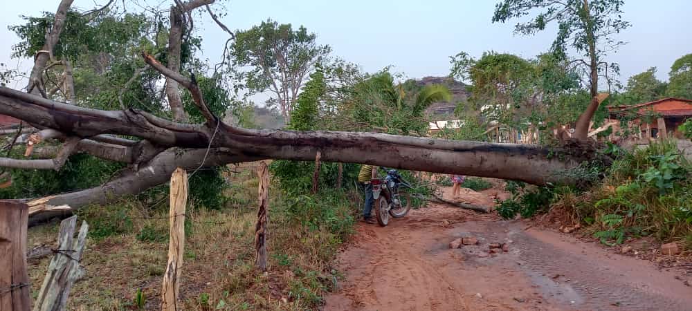 INMET alerta para temporal no sudoeste do Piauí e meteorologia aponta para início de período chuvoso