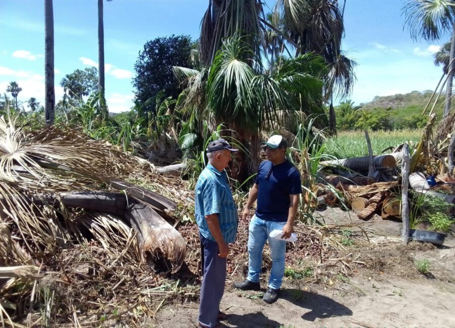 Secretaria de Meio Ambiente realiza Levantamento de danos ambientais causados ​​pela tempestade em Palmeira do PI