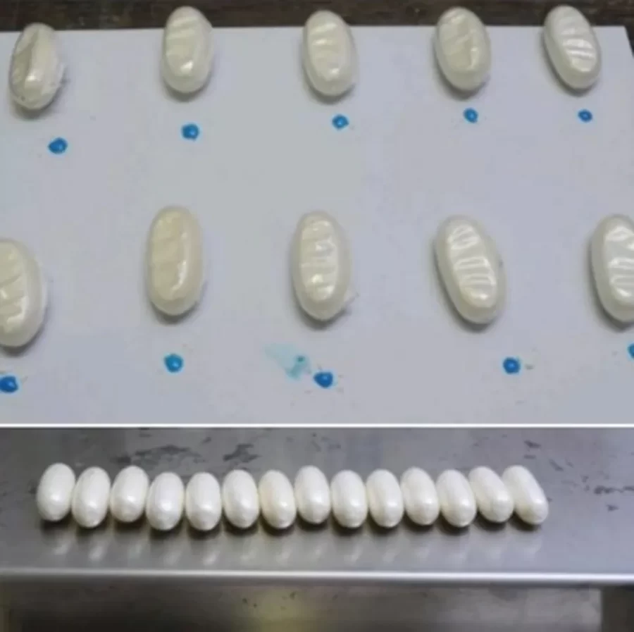 Polícia Federal prende piauiense com droga nas partes íntimas no Aeroporto de Guarulhos
