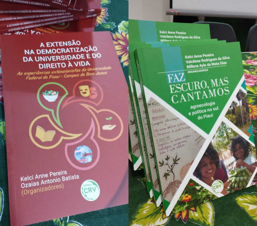 Professores e Alunos do CPCE lançam livros durante SIUFPI em Bom Jesus