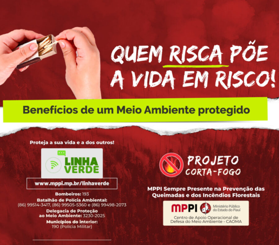 "Corta-Fogo": MPPI Promovendo Conscientização e Combatendo Queimadas em Bom Jesus e Região