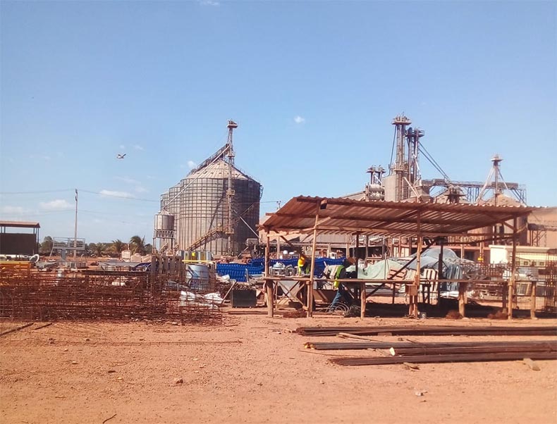 Trabalhadores denunciam atrasos salariais e falta de segurança em Fazenda no Cerrado, Sul do PI