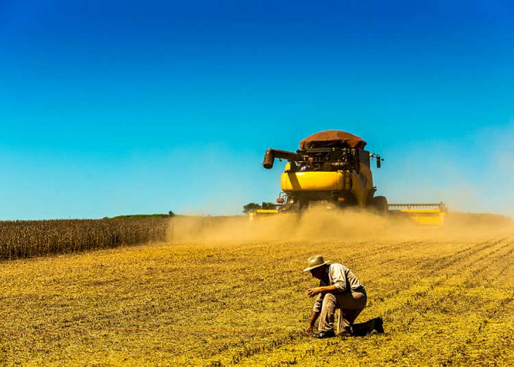 Matopiba: municípios do Sul do Piauí devem liderar crescimento de produção nos próximos dez anos