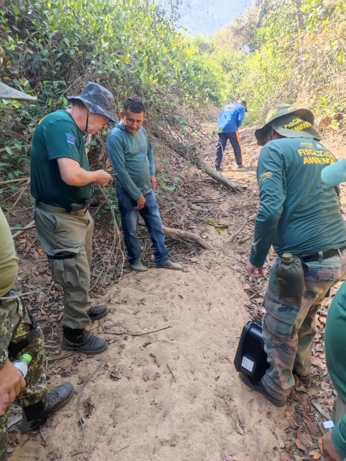 Ibama identifica duas onças responsáveis por devorar mais de 100 animais no Piauí; queimadas podem ter causado ataques