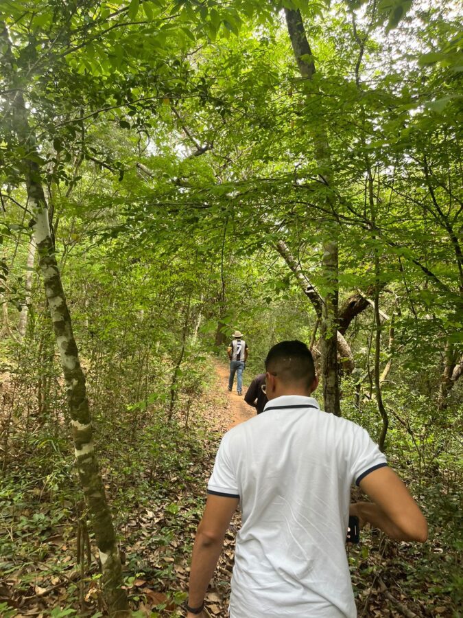 Polícia Civil prende suspeito de estupro de vulnerável em Baixa Grande do Ribeiro