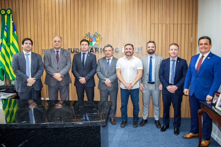 Alepi discute criação da Vara de Conflitos Fundiários do Piauí