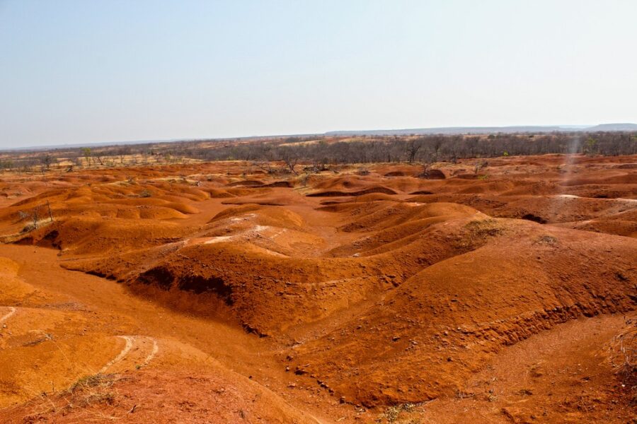 11 cidades do Piauí registram umidade menor ou igual à do deserto do Saara; veja lista