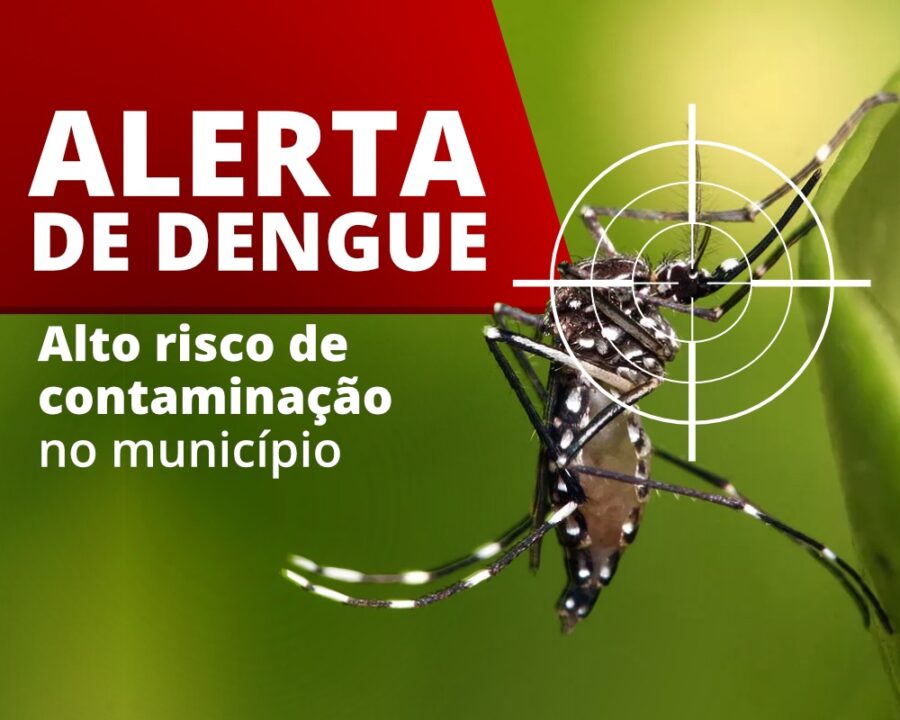 Bom Jesus e Currais em foco: aumento nos casos de Dengue no Piauí em 2024 alerta autoridades sanitárias