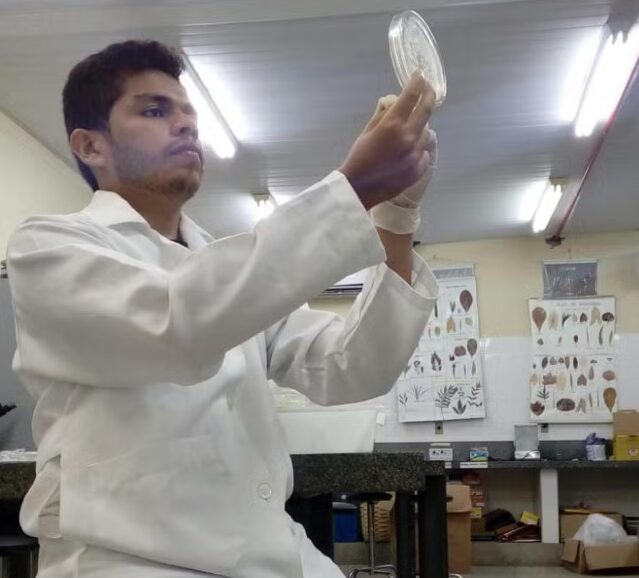 Lichtheimia piauienses: conheça a nova espécie de fungo descoberta no Piauí