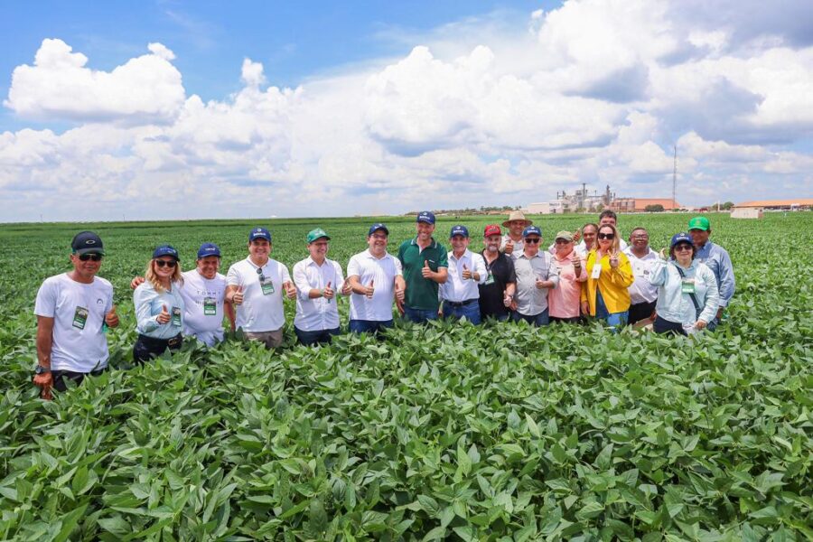 Governador destaca inteligência artificial em Baixa Grande do Ribeiro, durante Dia de Campo