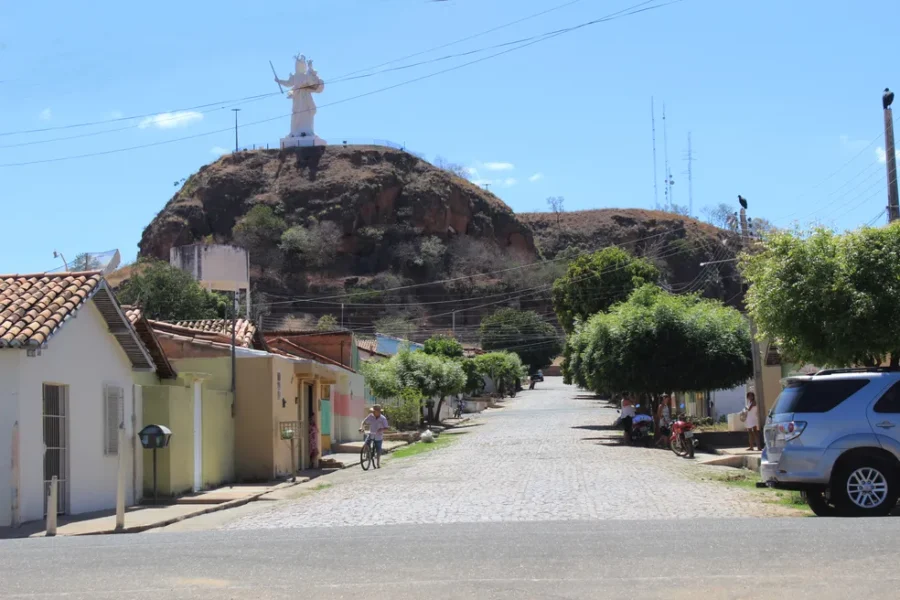 Vaqueiro e jumento morrem eletrocutados após animal pisar em fio de alta tensão no interior do Piauí