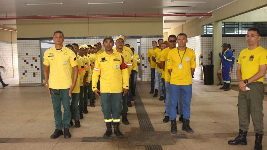 Semarh entrega certificados a brigadistas na região do cerrado do Piauí
