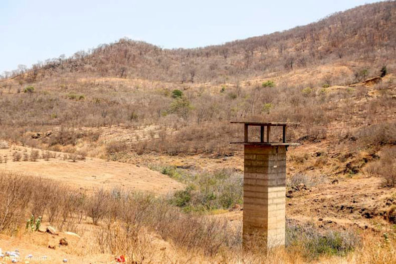 Área com seca do Piauí diminui para 56% em 2024; grau de severidade do fenômeno também cai