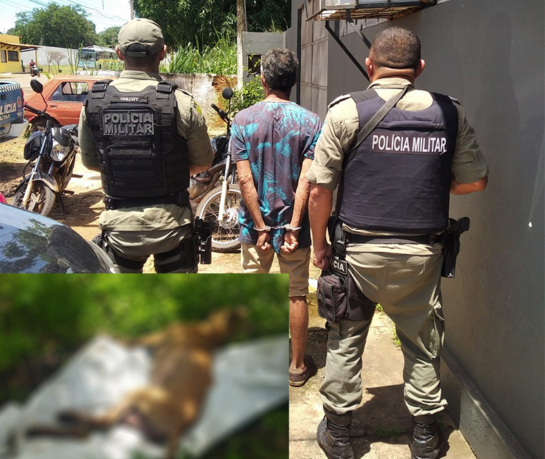 Homem é detido suspeito de estuprar e matar cadela no Piauí