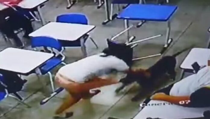 Aluna de 12 anos é atacada por pitbull dentro de escola