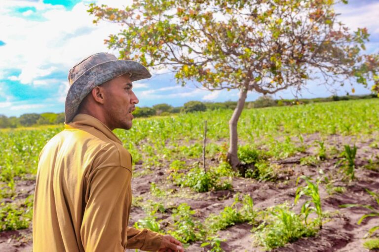 Agricultores vão receber Garantia Safra; veja cidades no Piauí