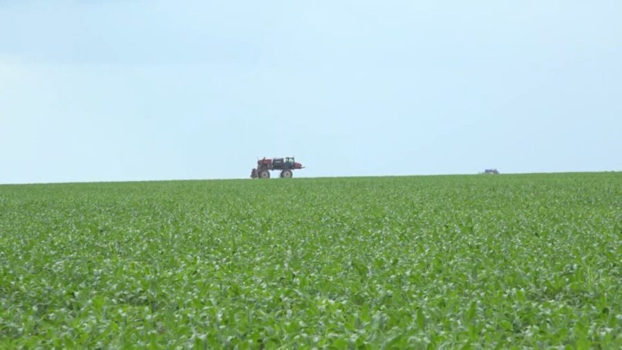 No cerrado piauiense, irregularidade da chuva atrasou o calendário agrícola