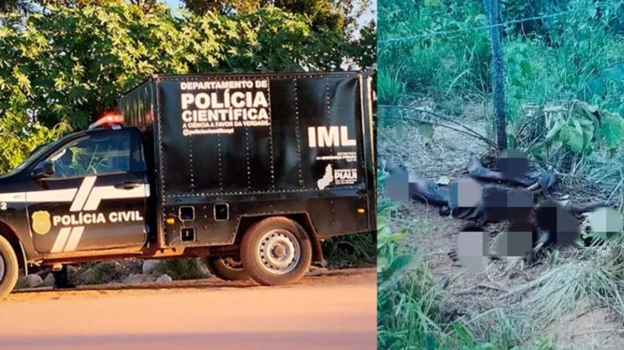 Corpo em decomposição encontrado em Monte Alegre, Sul do Piauí: autoridades investigam