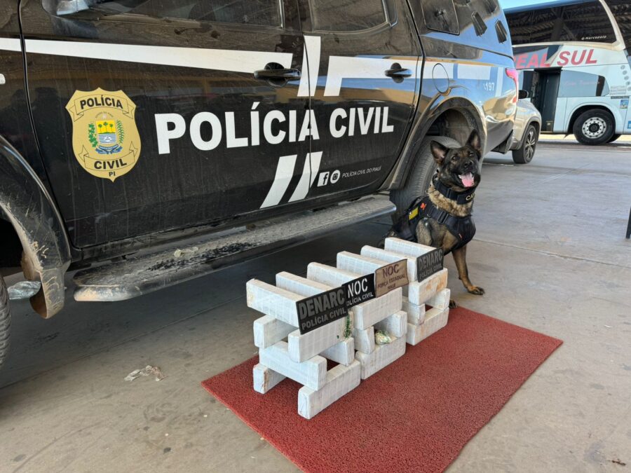 Polícia Civil prende passageiro transportando drogas dentro de ônibus em Bom Jesus