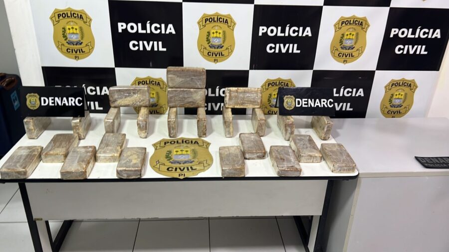 Operação apreende pasta base de cocaína avaliada em R$ 1,5 milhão e prende nove pessoas no PI