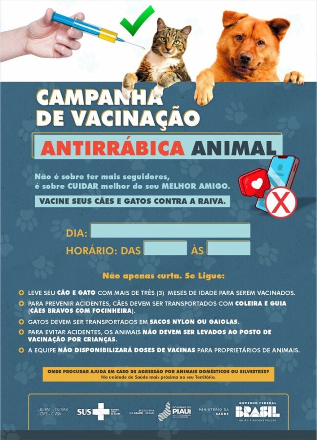 Secretaria da Saúde orienta municípios sobre realização da Campanha Antirrábica 2024