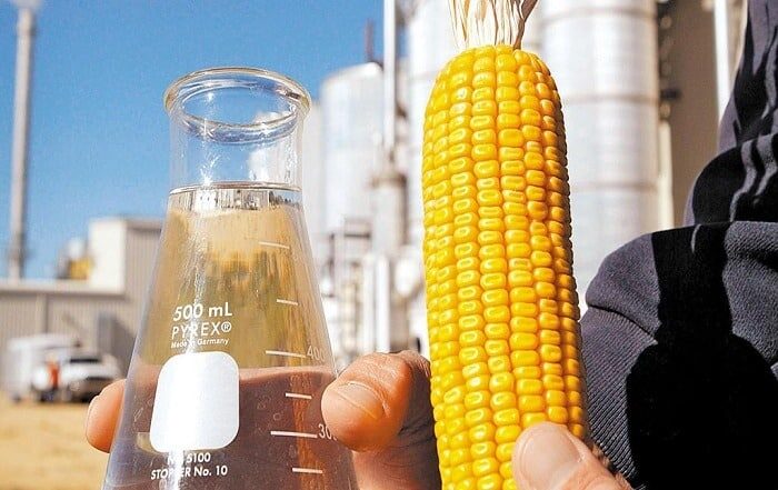 Projeto Nordeste Bioenergia: Piauí avançará na produção de etanol de milho
