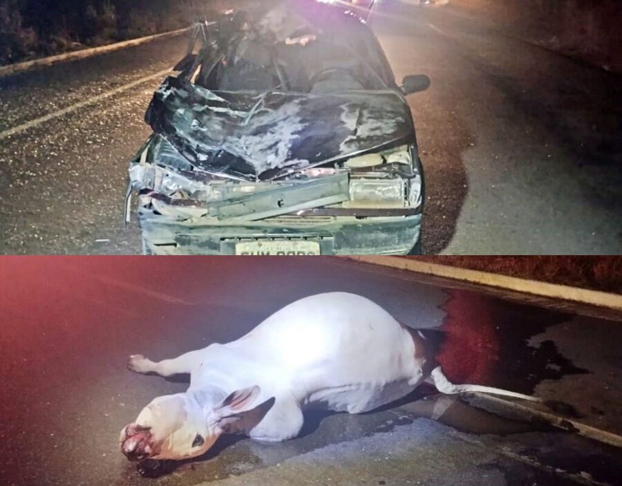 Grave Acidente na BR-135: Idoso morre e criança fica ferida após colisão com animal solto em Cristino Castro