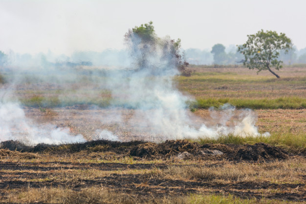 Piauí registra cerca de 1.466 focos de incêndio em agosto