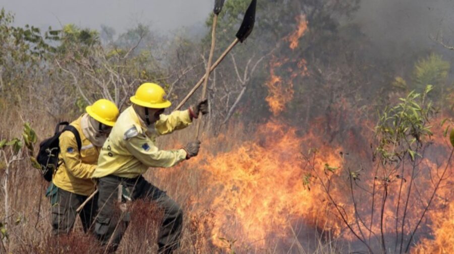Piauí recebe parte de fundo de R$ 150 milhões para combater incêndios no Cerrado