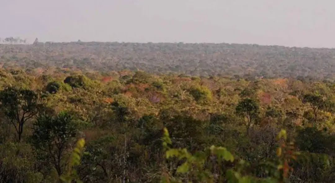 Nova Lei Geral do Licenciamento Ambiental terá impacto no Piauí