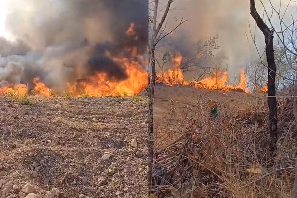 Dois brigadistas morrem ao tentar conter incêndio florestal no Sul do Piauí — Foto: Divulgação/Prefeitura de Uruçuí