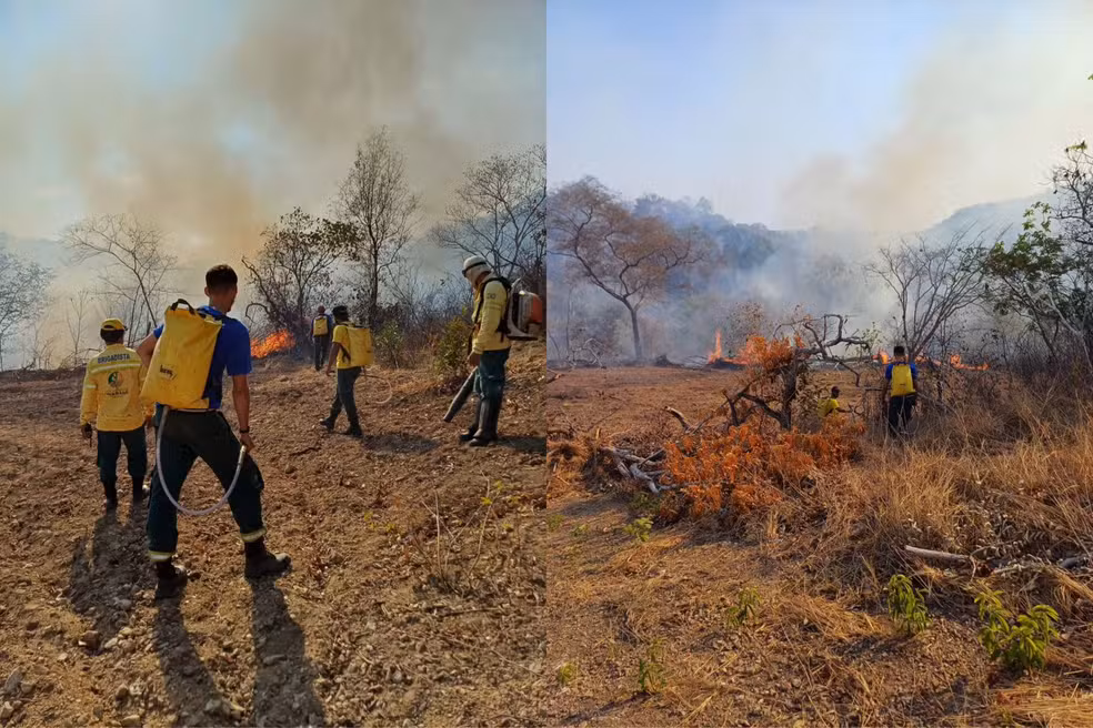 Dois brigadistas morrem ao tentar conter incêndio florestal no Sul do Piauí — Foto: Divulgação/Prefeitura de Uruçuí
