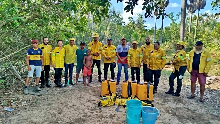 Incêndio de grandes proporções é controlado na zona rural de Currais, Sul do Piauí
