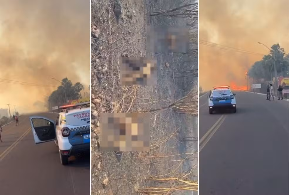 Quatro pessoas da mesma família morrem queimadas em grande incêndio em Canto do Buriti, no Piauí — Foto: Reprodução
