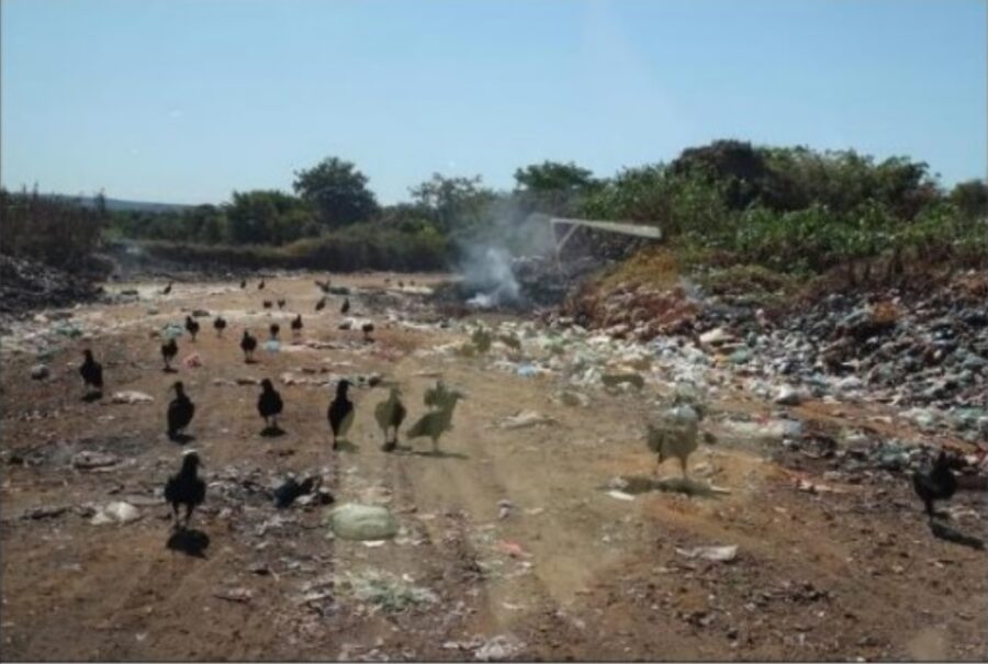 No Piauí, 173 municípios ainda usam lixões como principal destino final de resíduos sólidos