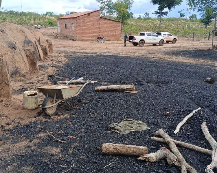 Carvoaria é encontrada em reserva legal no município de Corrente