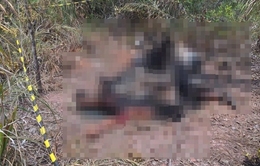 Homem encontra dois corpos carbonizados dentro de fazenda em Sebastião Leal, no Sul do Piauí