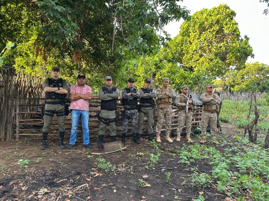 Polícia Militar recupera 18 ovelhas e diversos objetos furtados em propriedades rurais no interior do Piauí