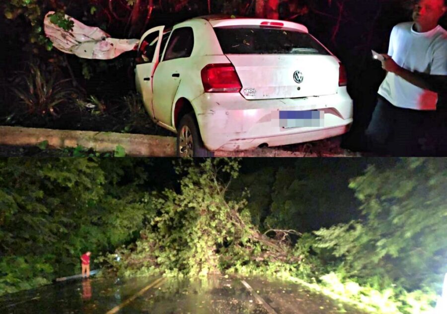 Três pessoas morrem em grave acidente na BR-135 em Corrente; "uma árvore na pista causou a tragédia"