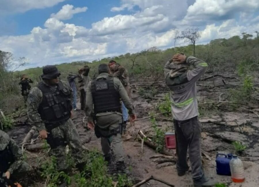 Polícia flagra crime ambiental e apreende motosserras no Sul do Piauí