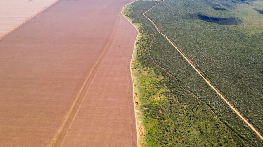 Cerca de 100 mil hectares tiveram suas matrículas bloqueadas no Sul do Piauí