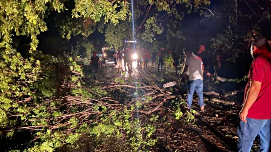 Queda de Árvores Interdita Trecho da BR-135 na Bahia Durante Temporal: (vídeo)