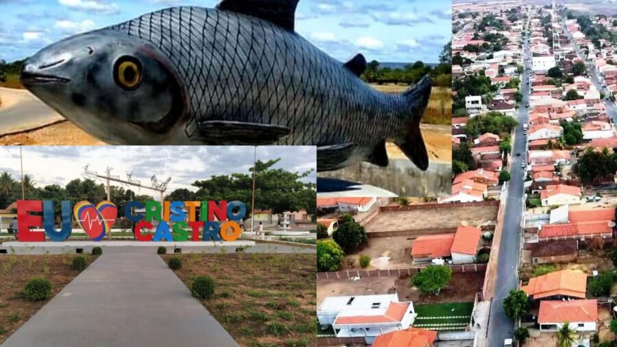 Projeto Inclusão Itinerante leva atendimentos aos municípios de Cristino Castro, Curimatá e Avelino Lopes