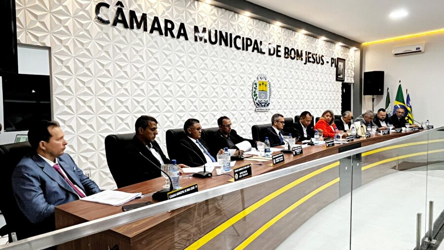 (Vídeo) | Vereadora Nisete apresenta requerimento e cobra condições de trabalho na Delegacia Regional de Bom Jesus