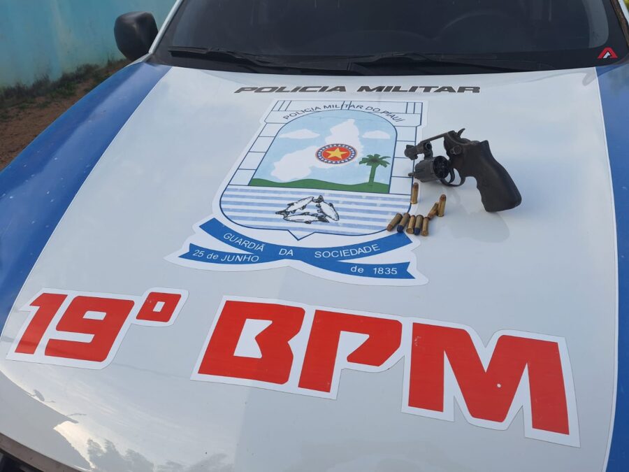 Polícia deflagra Operação Mão de Ferro e prende suspeitos de tráfico, porte de armas e crime ambiental no Sul do Piauí