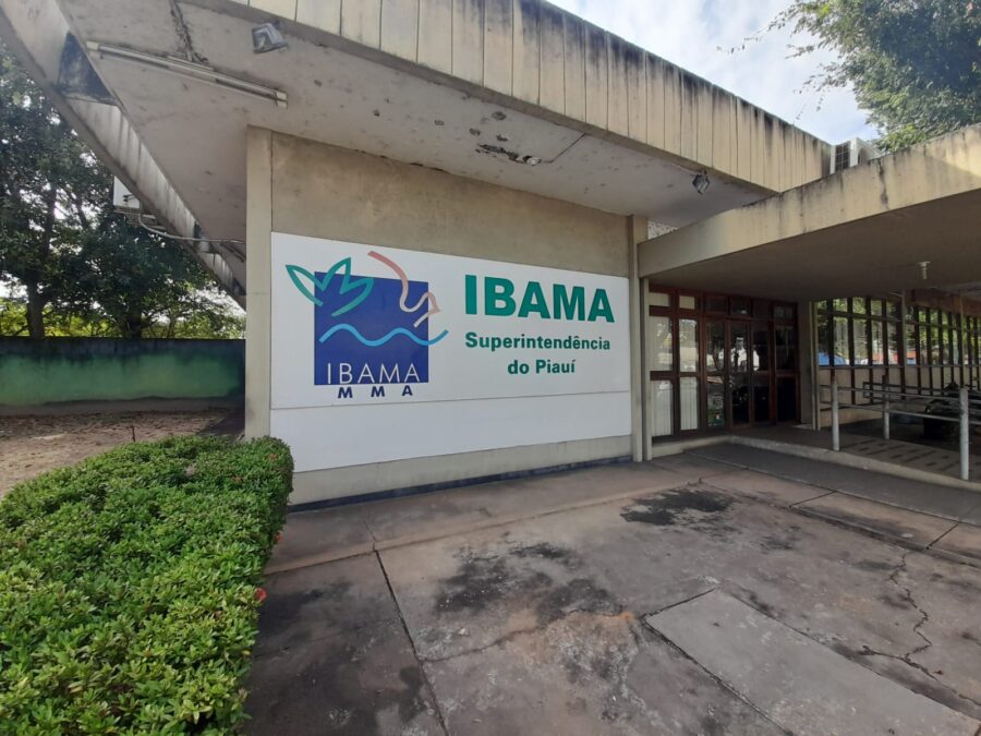 Inscrições para 460 vagas de concurso do Ibama estão abertas