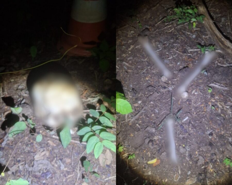 Moradores encontram ossada humana em cidade do Sul do Piauí