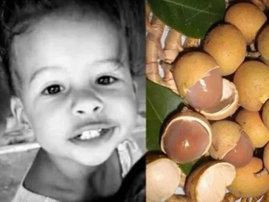 Criança de 2 anos morre após se engasgar com caroço de pitomba no interior do Piauí