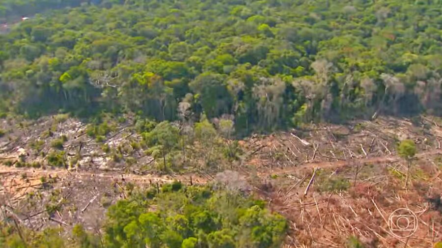 Ibama multa bancos e proprietários rurais em R$ 5 milhões por financiamento ilegal em áreas desmatadas no Cerrado