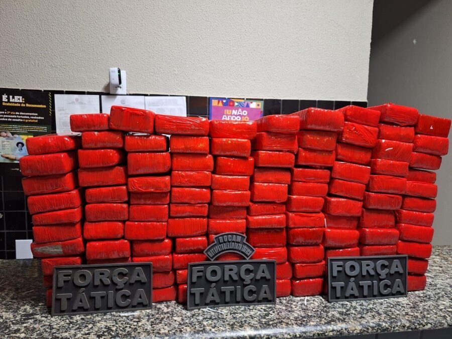 Polícia Militar do Piauí apreende 293 tabletes de maconha avaliados em R$ 3 milhões no Piauí